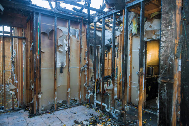 Professional Emergency Fire Cleanup technician working in Darwin, MN